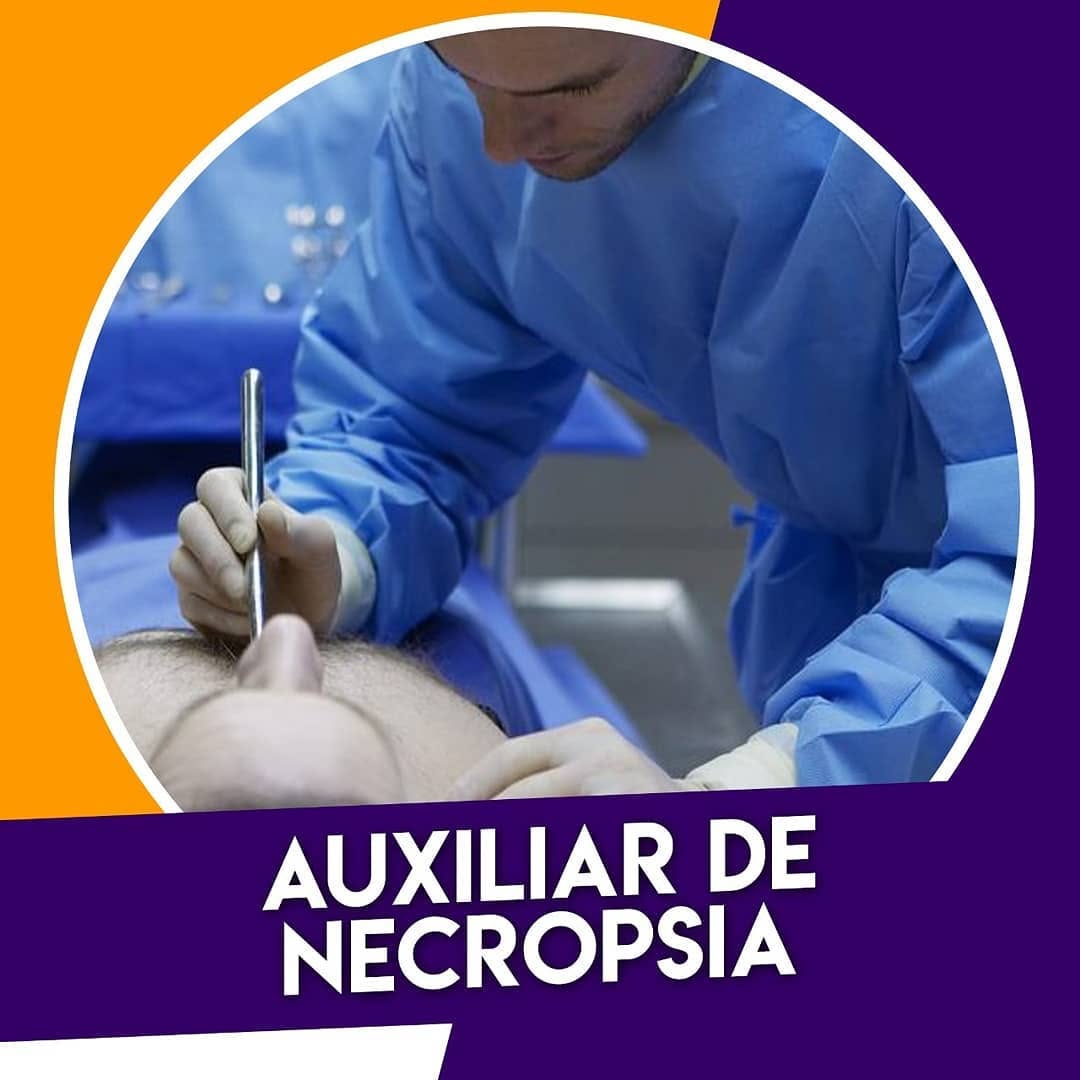 Foto de alunos CECAP